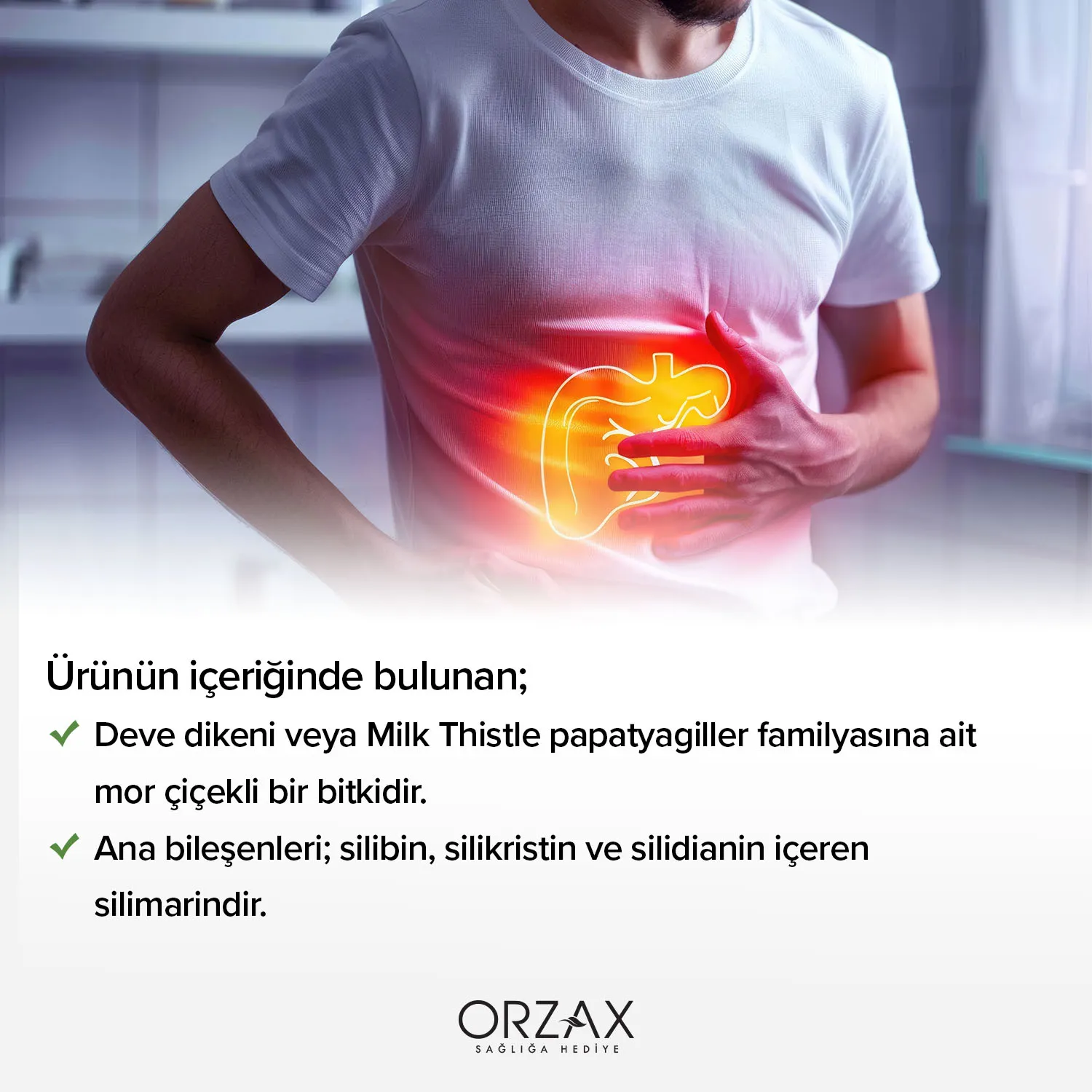 Ocean Milk Thistle Capsule Ocean Milk Thistle Capsule - Image 4