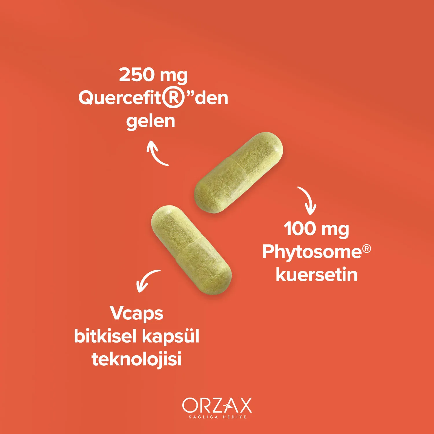 Ocean Quercetin Kapsül Ocean Quercetin Kapsül - Görsel 4
