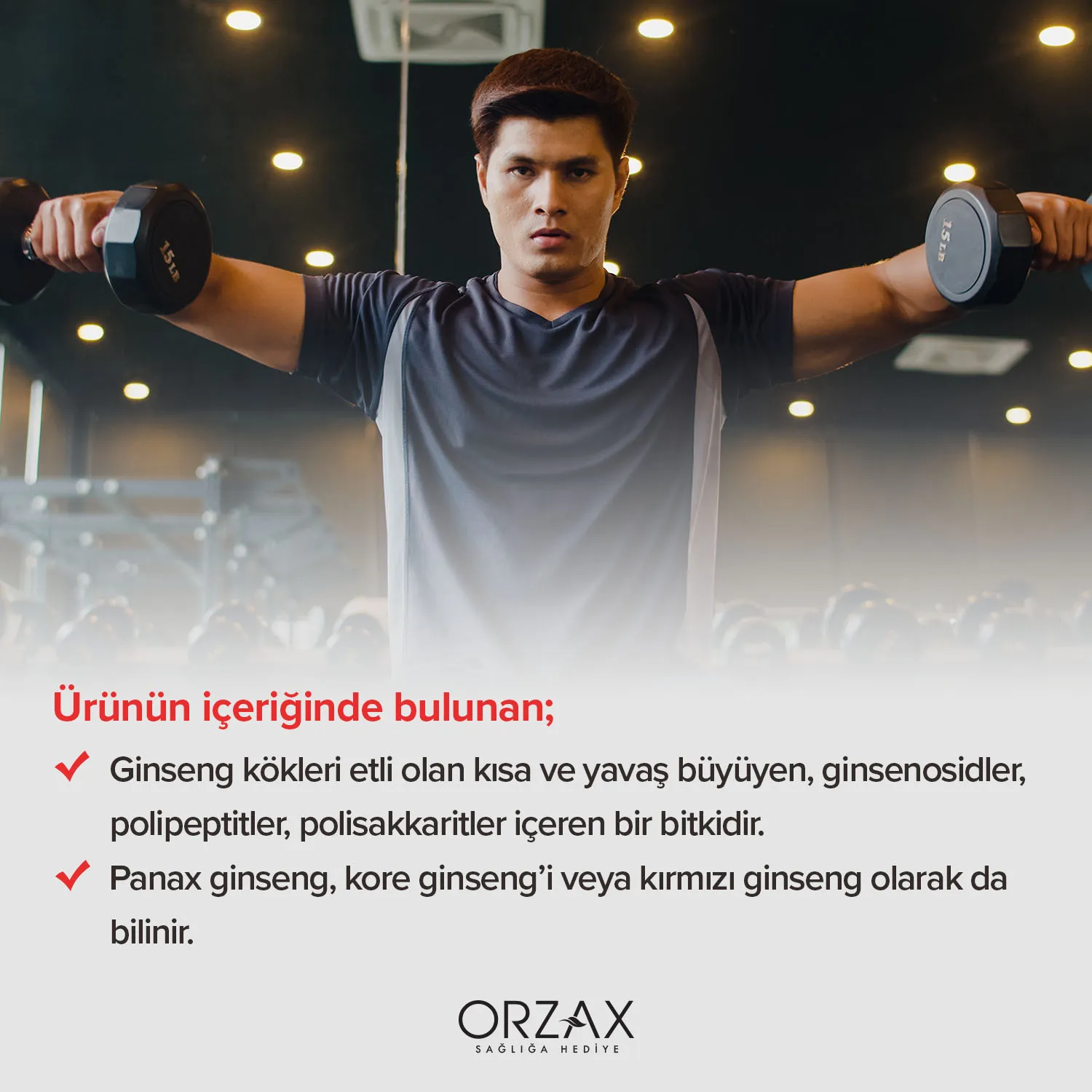 Ocean Panax Ginseng Capsule Ocean Panax Ginseng Capsule - Image 4
