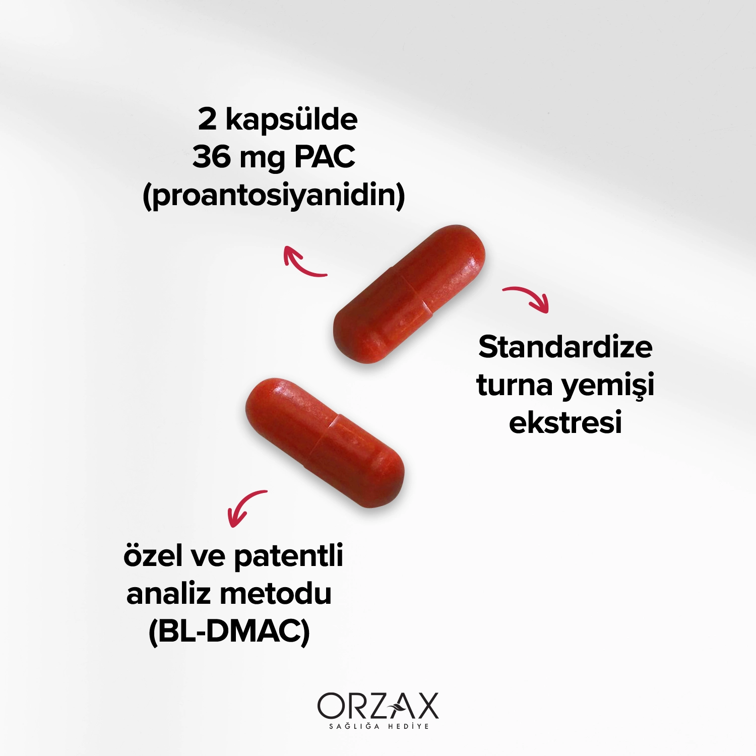 Ocean Cranberry Capsule Ocean Cranberry Capsule - Image 3