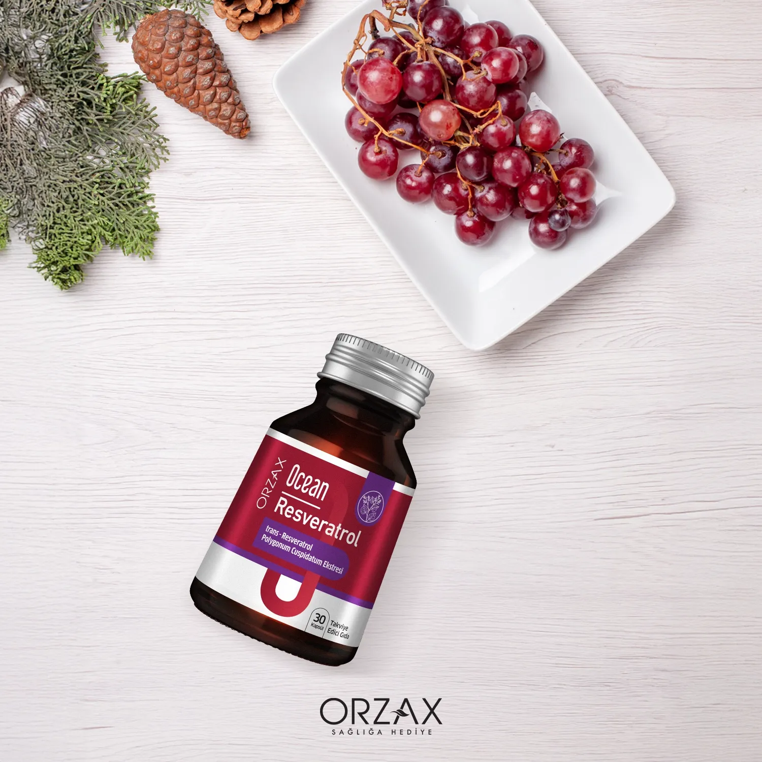 Ocean Resveratrol Capsule Ocean Resveratrol Capsule - Image 5