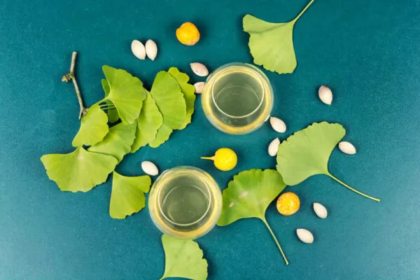 Ginkgo Biloba Ekstresi Nedir? Ne İşe Yarar? ginkgo-biloba-ekstresi-faydalari