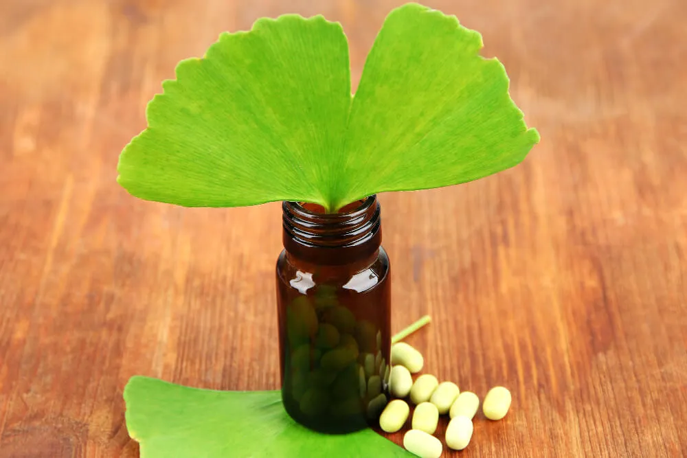 ginkgo-biloba-ekstresi