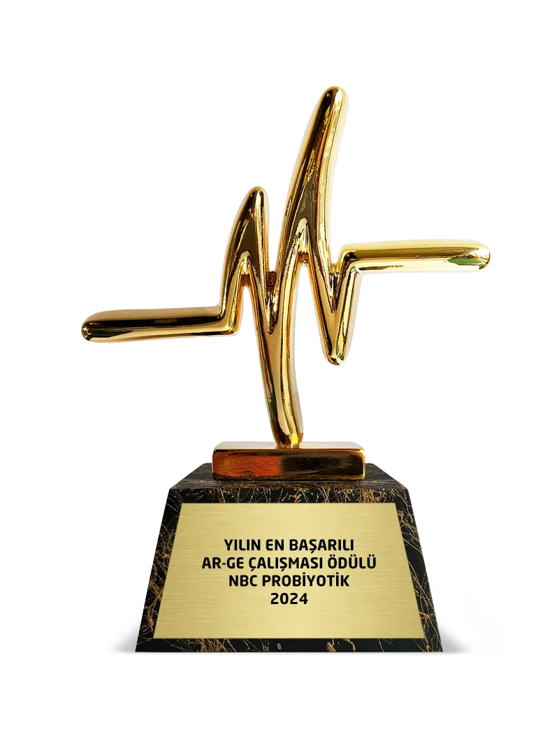 Our Awards